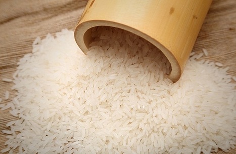 Các lưu ý khi mua gạo Sa Mơ